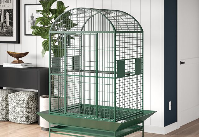 Just for You: Large Bird Cages